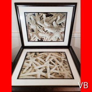 Starfish  Double Matted Framed Coastal Themed Wall